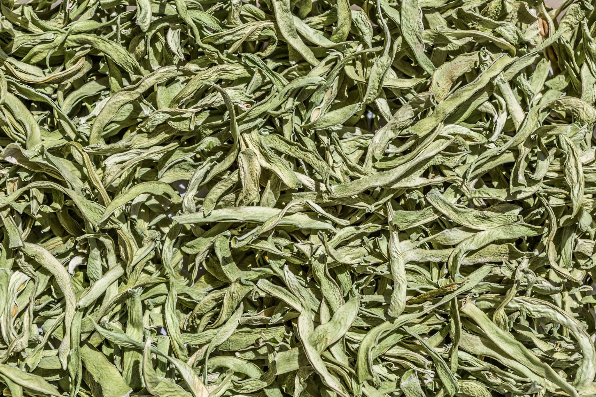Kurutulmuş Fasulye
