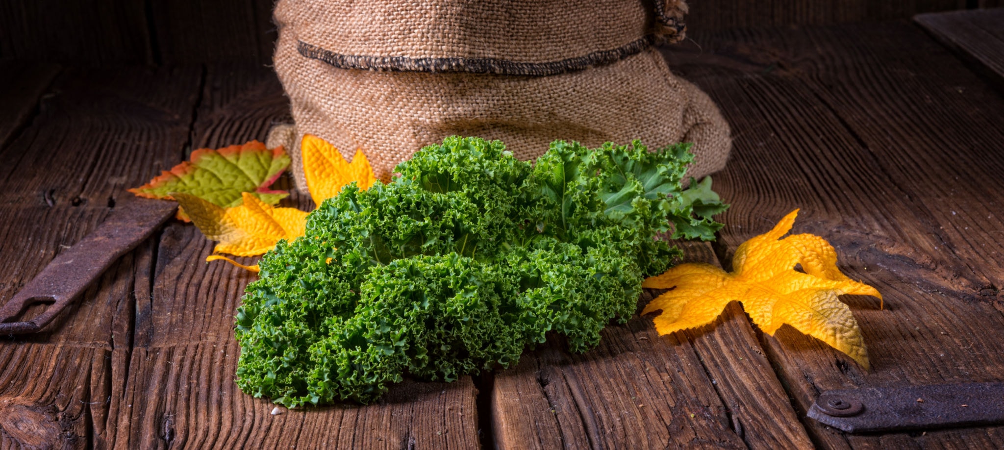 Kıvırcık Lahana (Kale)